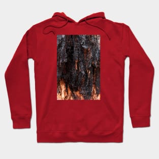 Vibrant Tree Oozing Sap From Trunk - Alternative VI Hoodie